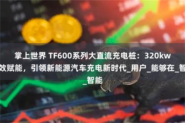 掌上世界 TF600系列大直流充电桩：320kw高效赋能，引领新能源汽车充电新时代_用户_能够在_智能